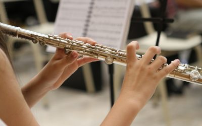 LA IMPORTANCIA QUE EL PROFESOR DA A LA ASIGNATURA DE LENGUAJE MUSICAL DENTRO DE LOS ESTUDIOS ELEMENTALES Y PROFESIONALES DE MÚSICA
