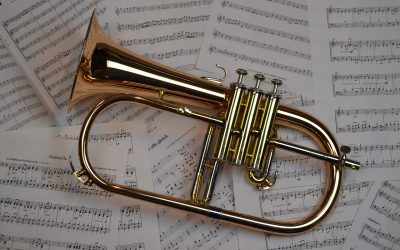 LA ELECCIÓN DEL INSTRUMENTO MUSICAL