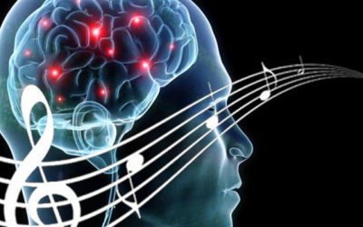 EL CEREBRO DE LOS MUSICOS ES DIFERENTE