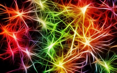 ¿CÓMO TRABAJA NUESTRO CEREBRO CUANDO INTERPRETAMOS MÚSICA?